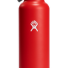 Standard Mouth 24oz Insulated Water Bottle w/ Flex Straw