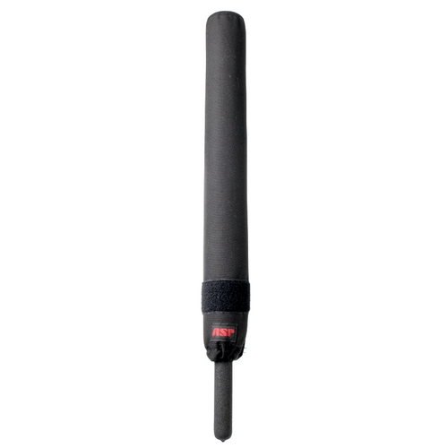 Training Baton ASP