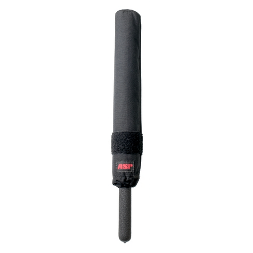 Training Baton ASP
