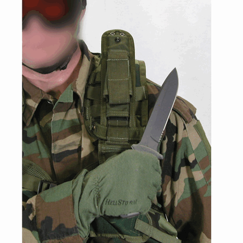 BH-44AK0001.png